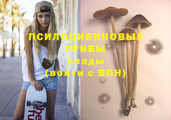 ПСИЛОЦИБИНОВЫЕ ГРИБЫ Володарск