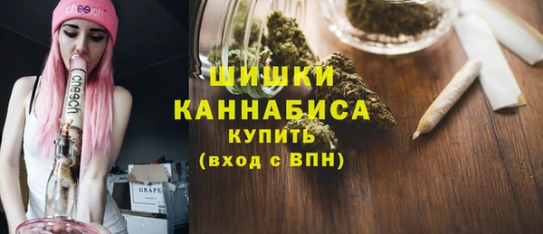 СК Волосово