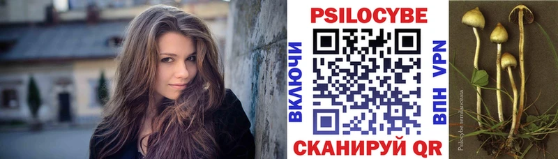 Галлюциногенные грибы Psilocybe  ссылка на мегу ТОР  Дедовск 